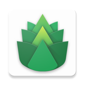绿叶加速器 Logo