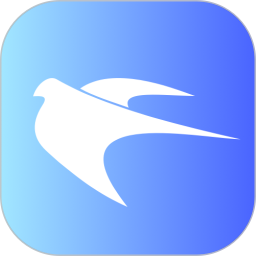飞鸟加速器 Logo